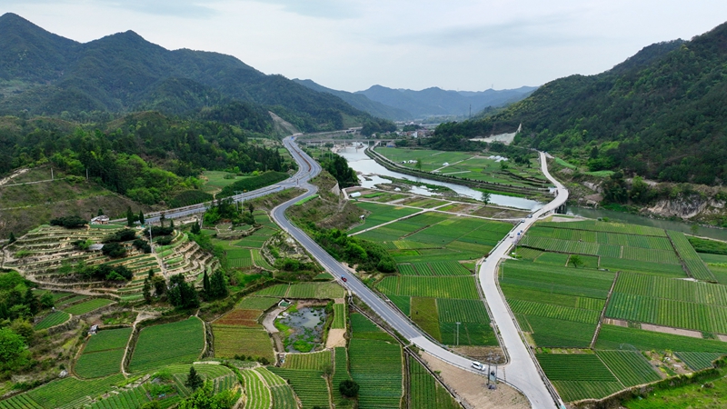 浙農(nóng)浙貝母、杭白菊基地通過中藥材GAP延伸檢查